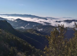 On entrenem? The Trail Zone Campdevànol