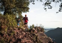 Marató dels Dements 2025: LA PRÈVIA