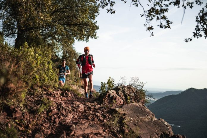 articulos-148140_copy_804x536