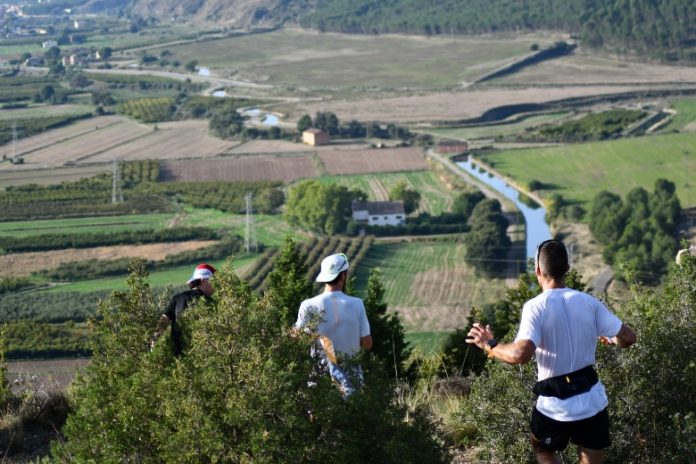 DSC_0541_copy_780x520