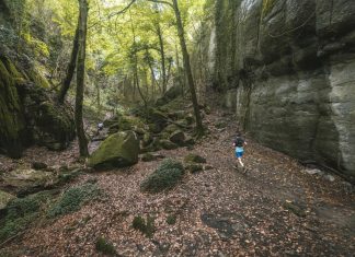 Trail del Bisaura: història i resultats
